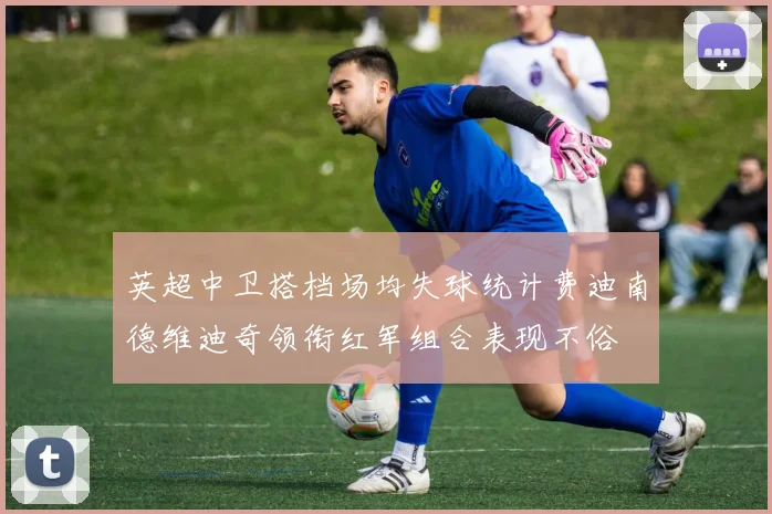 英超中卫搭档场均失球统计费迪南德维迪奇领衔红军组合表现不俗