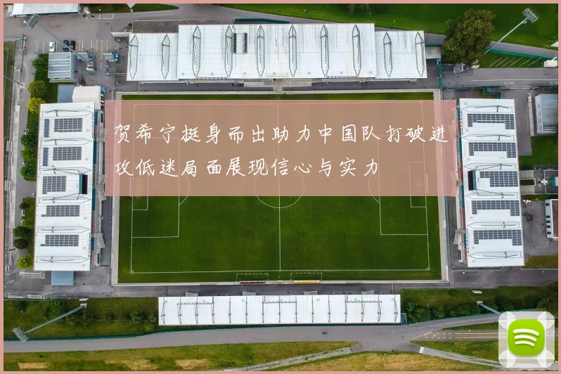 贺希宁挺身而出助力中国队打破进攻低迷局面展现信心与实力