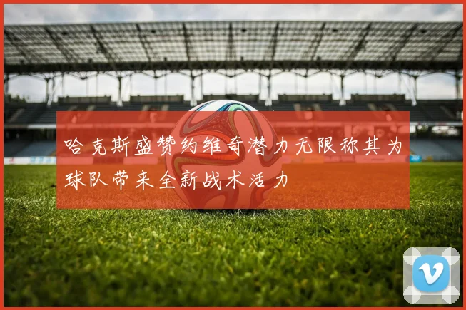 哈克斯盛赞约维奇潜力无限称其为球队带来全新战术活力